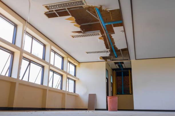 Best Flood restoration services  in Garden Grove, FL