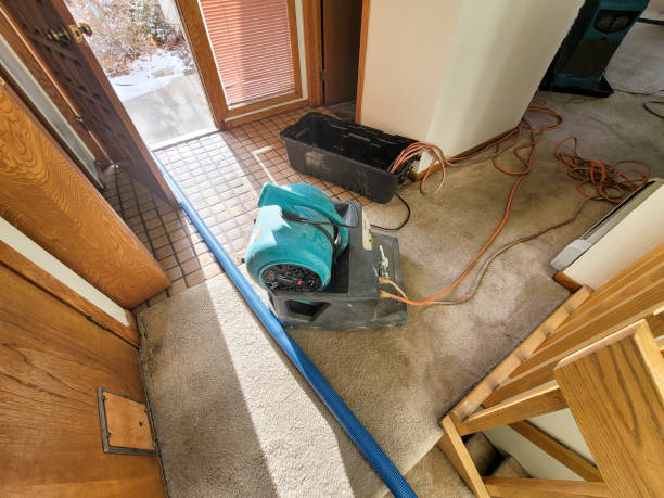 Best Water damage restoration near me  in Garden Grove, FL