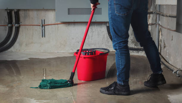 Best Carpet water damage restoration  in Garden Grove, FL