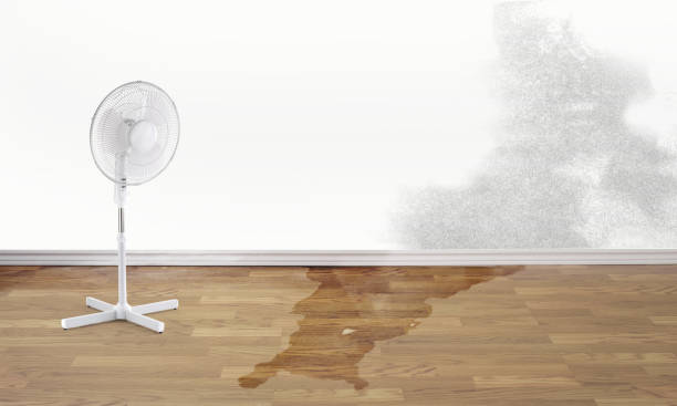 Best Flooded house restoration  in Garden Grove, FL