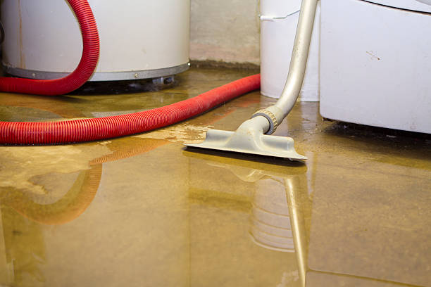 Best Fire Damage Restoration  in Garden Grove, FL