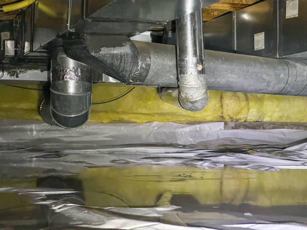 Best Basement water damage restoration  in Garden Grove, FL