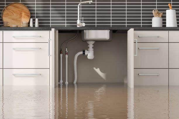Best Mold removal after water damage  in Garden Grove, FL