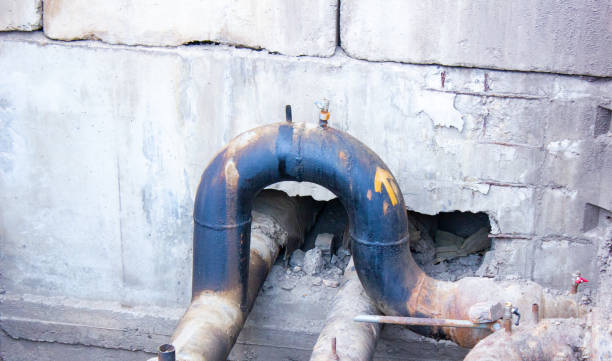 Best Water damage contractors near me  in Garden Grove, FL